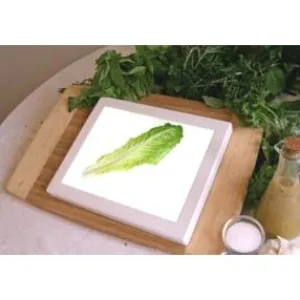 Bug Checker Portable Light Board TM