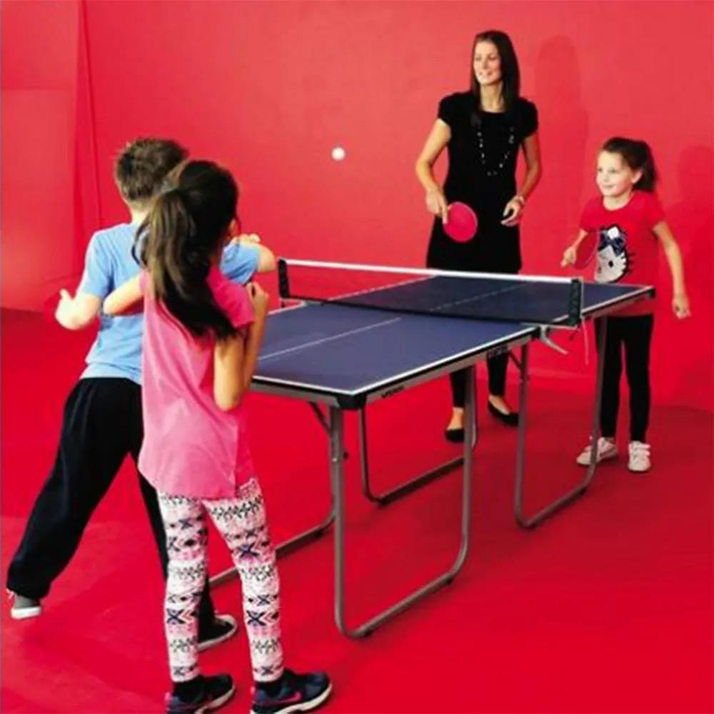 Butterfly Starter Table Tennis Table