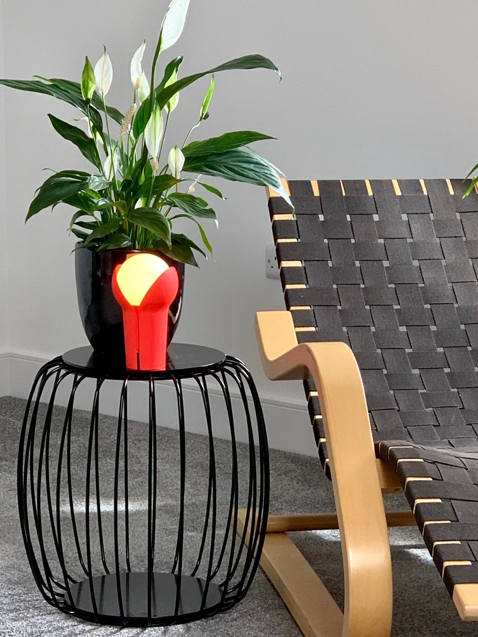 Innermost Bud In Fluro - ID 11769