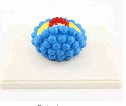 Model of Aids-Virus QH3221-13 نموذج فيروس الإيدز