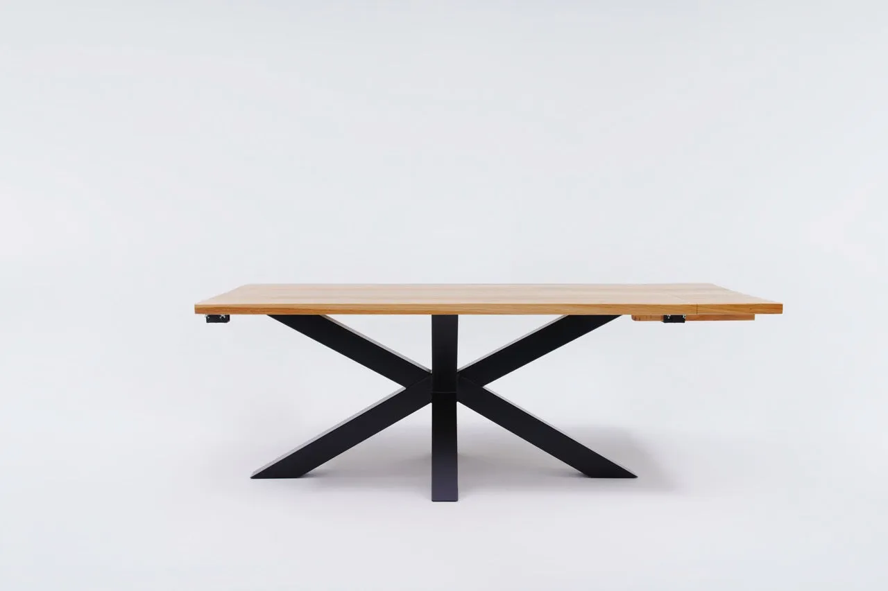 The Extender: Metal Spider