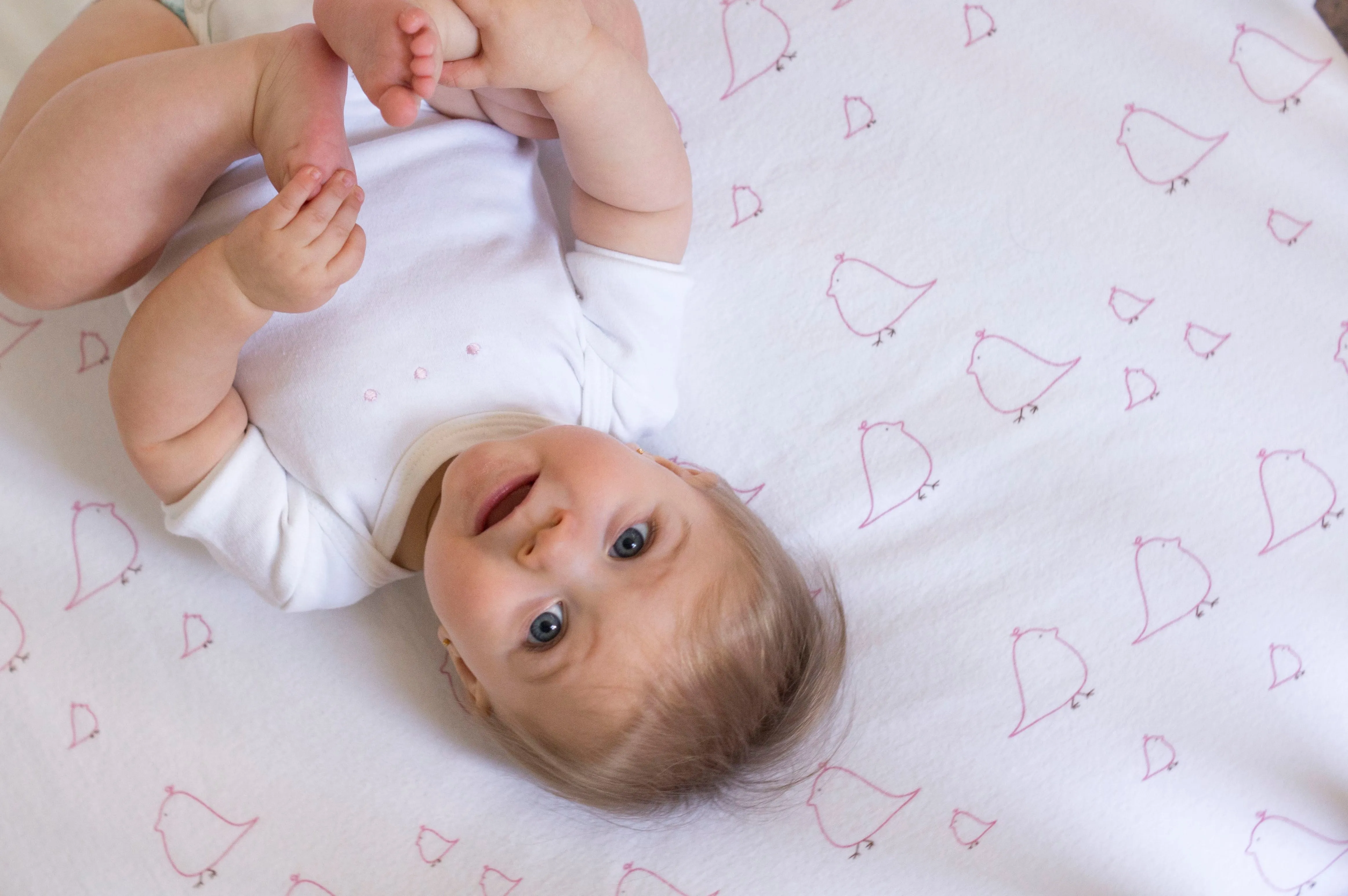 Ultimate Swaddle Blanket - Mama & Baby Chickies, Pink & Very Berry